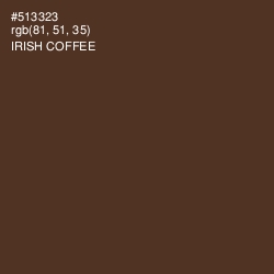 #513323 - Irish Coffee Color Image